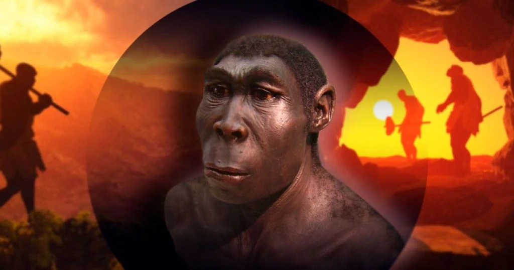 Homo erectus виявився на 200 тисяч років старшим: у Південній Африці знайшли рештки дорослого предка